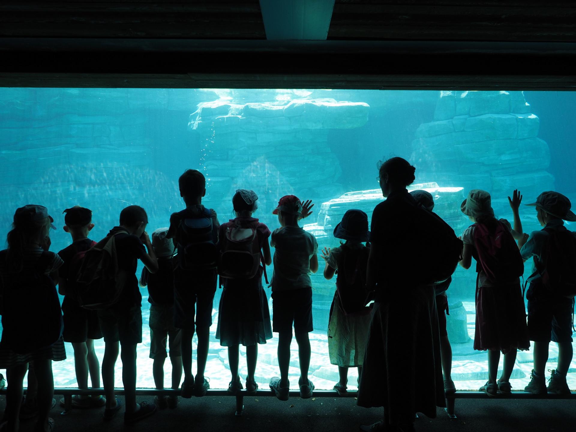 Zoo d'Amnéville- Bassin